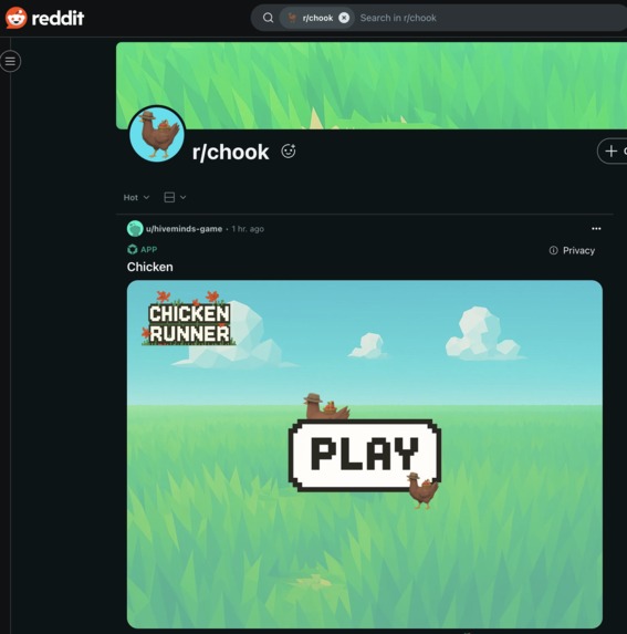 chook – screenshot 3