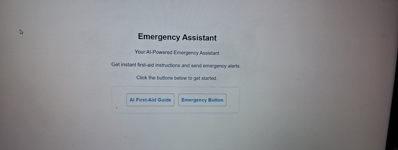 Emergency AI Assistant – screenshot 1