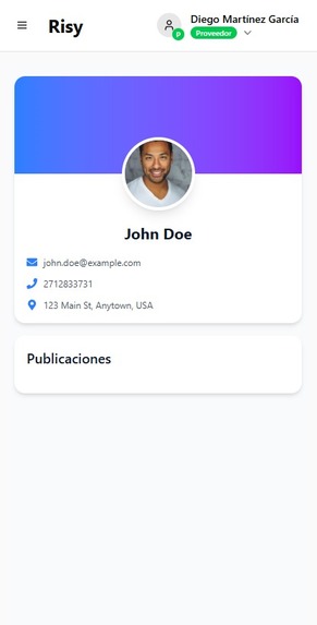 Risy – screenshot 1