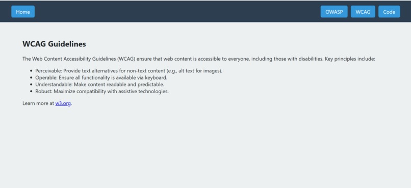 OWASP AND WCAG GUIDELINES SCANNER – screenshot 4