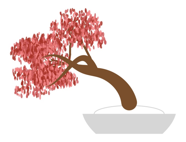 ZenGrow – screenshot 4