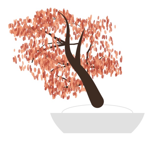 ZenGrow – screenshot 6