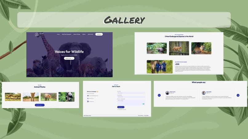 Voices For Wildlife – screenshot 1