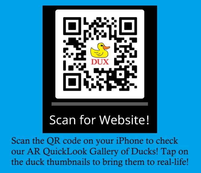 The Duck Experience (DUX) – screenshot 1