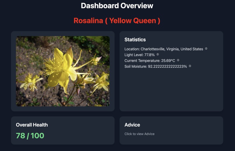 GrowLytics – screenshot 2