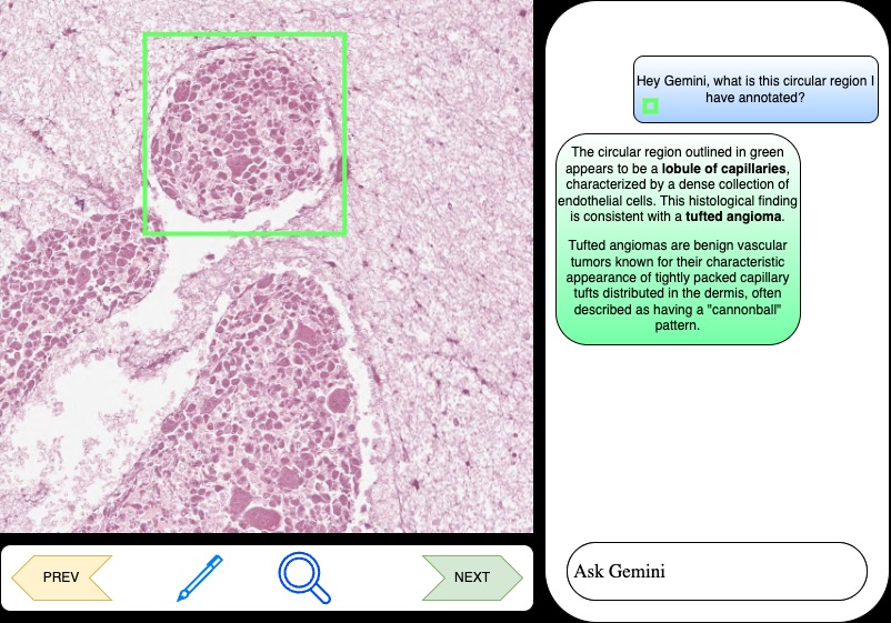 EasyAnalyze – screenshot 1