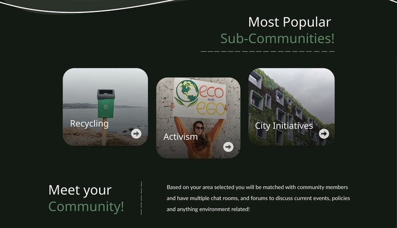 Bloom – screenshot 3