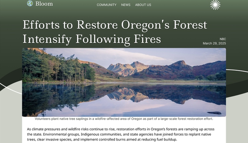 Bloom – screenshot 11