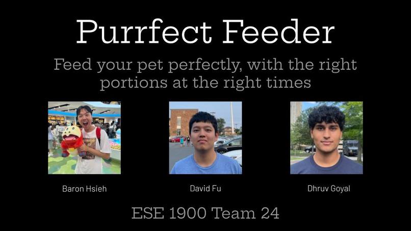 Purrfect Feeder – screenshot 1