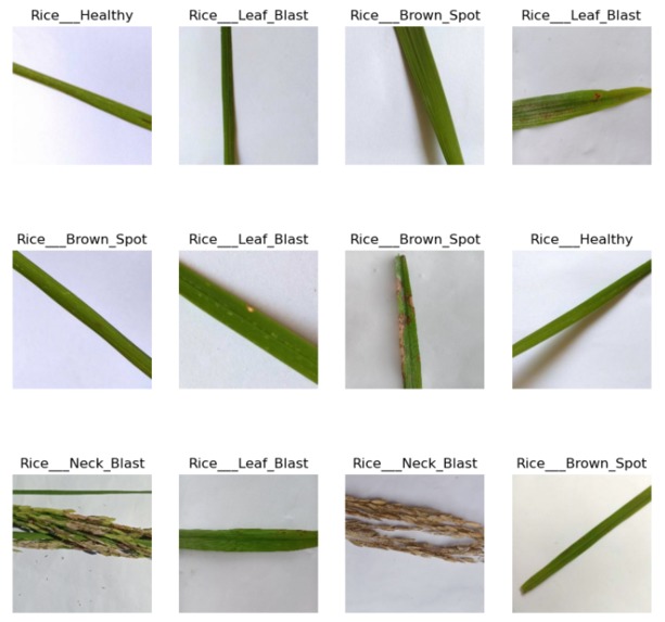 AgriAid – screenshot 5