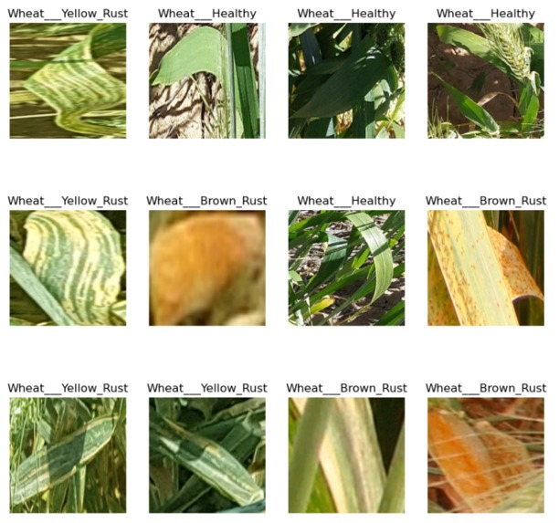 AgriAid – screenshot 6