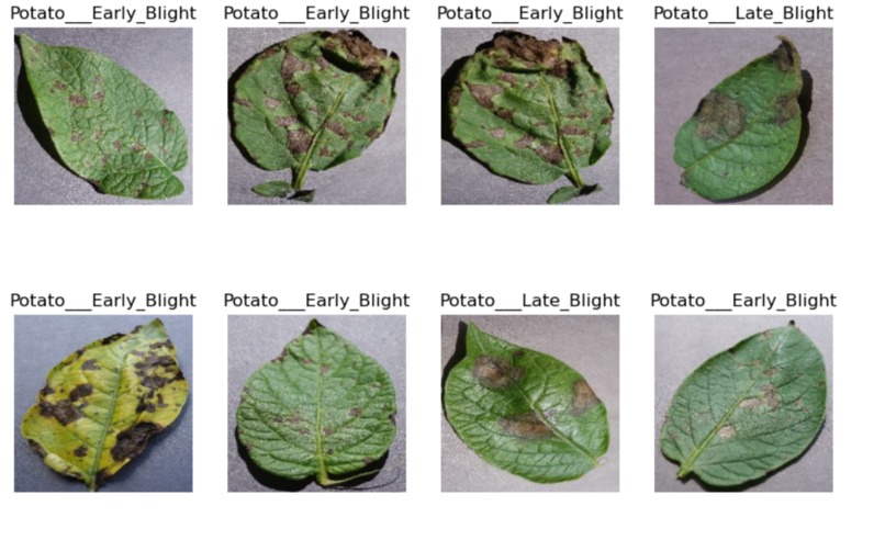 AgriAid – screenshot 7