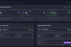 Lightning Time App
