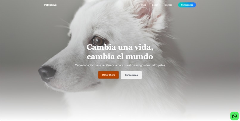 Dog foundation – screenshot 1