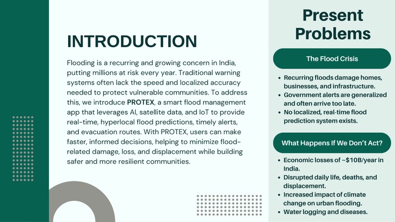 PROTEX – screenshot 2