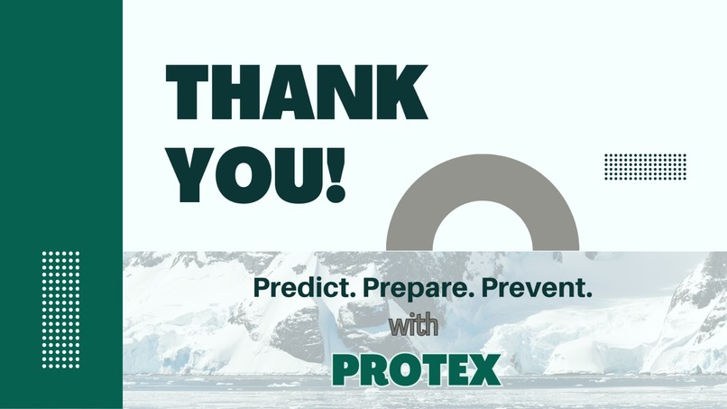 PROTEX – screenshot 9