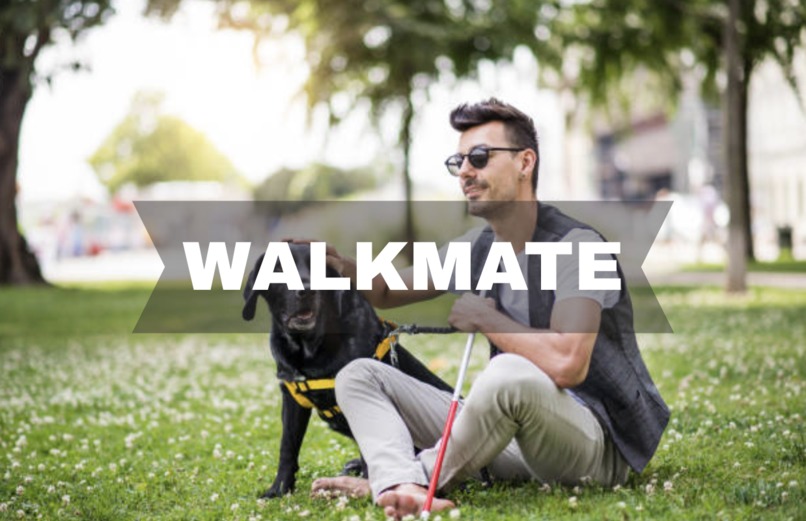 WalkMate – screenshot 1