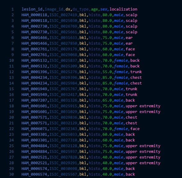 Skin Lesion Identifier  – screenshot 5