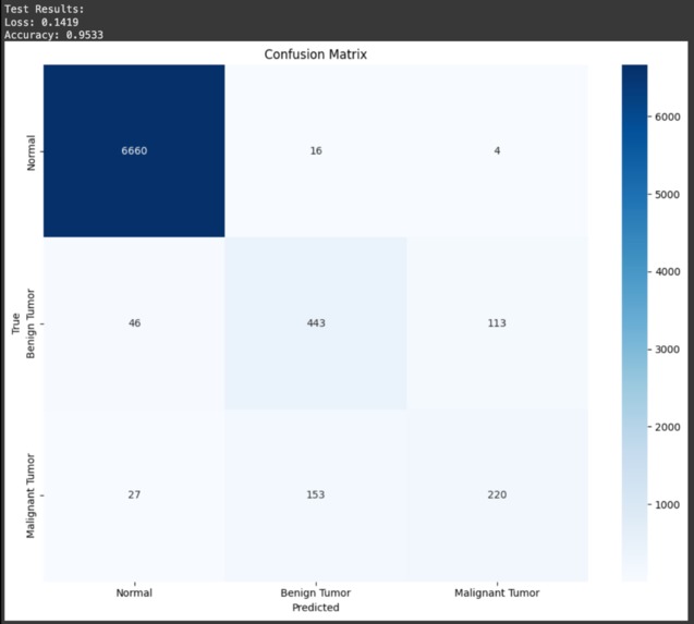 MedScanNet – screenshot 4