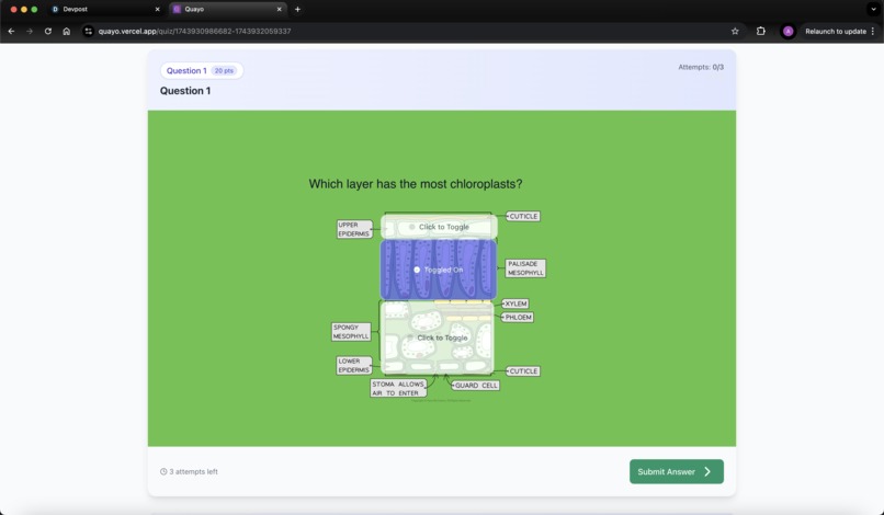 Quayo - A Custom Quiz Building Webapp – screenshot 10