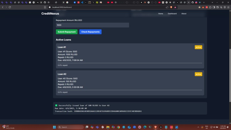 CreditNexus – screenshot 12