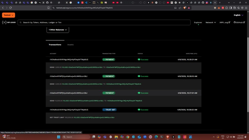 CreditNexus – screenshot 15