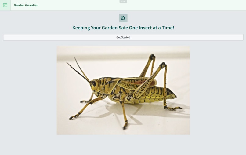 Garden Guardian – screenshot 1