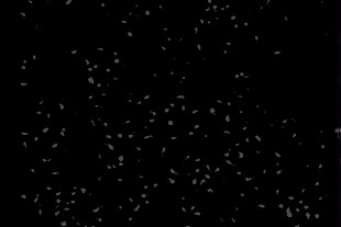 SkinSight AI – screenshot 3