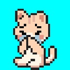 Purrfect Care – screenshot 3