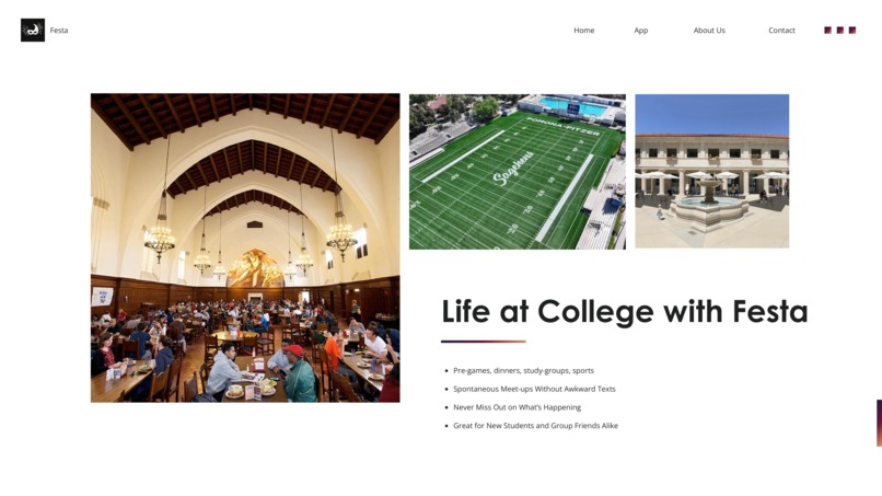 Festa – screenshot 9