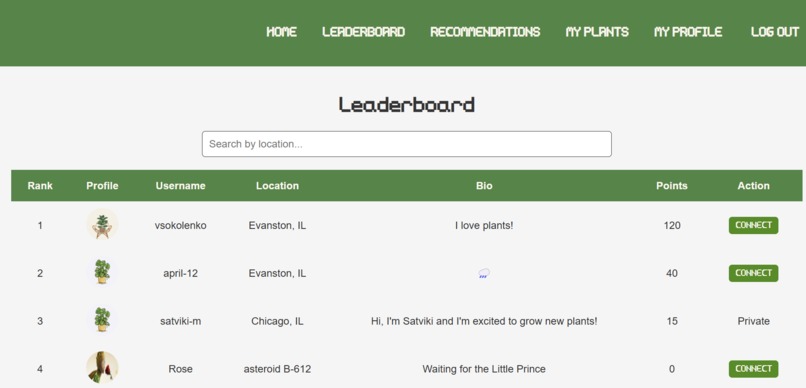 FernFriends – screenshot 2