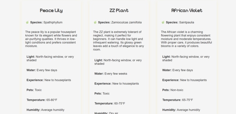 FernFriends – screenshot 4