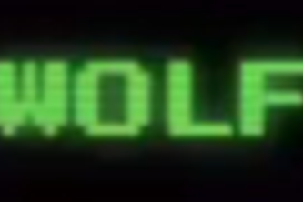 Wolf - The Street Talks, You Answer