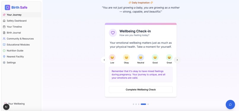 BirthSafe – screenshot 19