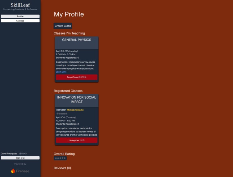 SkillLeaf – screenshot 4