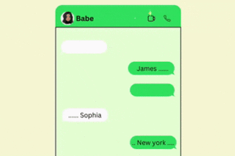 WhatsApp NER