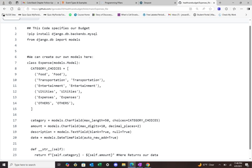 Healthcare Budgeting  – screenshot 2