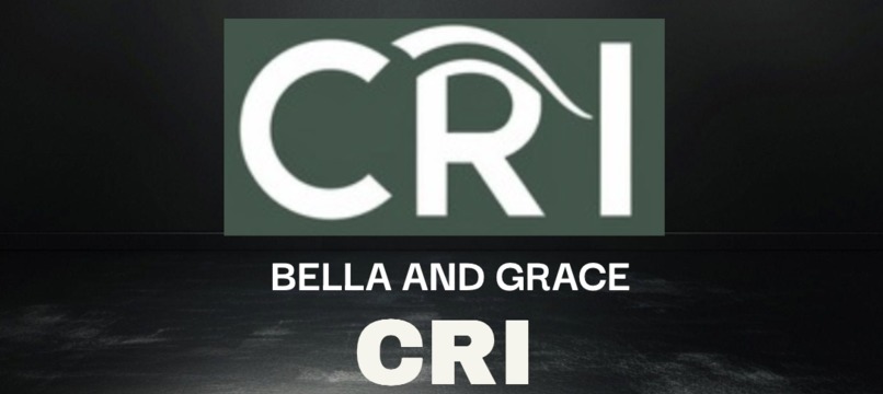 CRI (Combating Rising Islamophobia) – screenshot 1