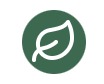 Sprout – screenshot 1