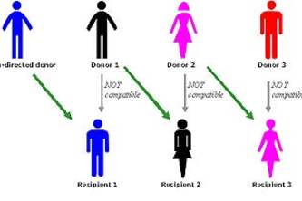 QAOA for the kidney exchange problem