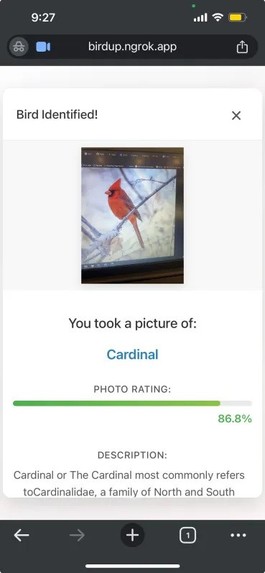Bird Box – screenshot 3