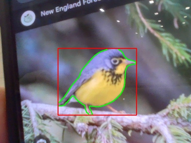Bird Box – screenshot 8