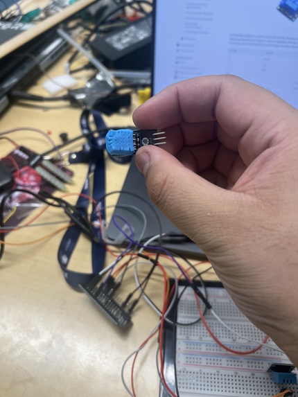 Ploonty! – screenshot 3