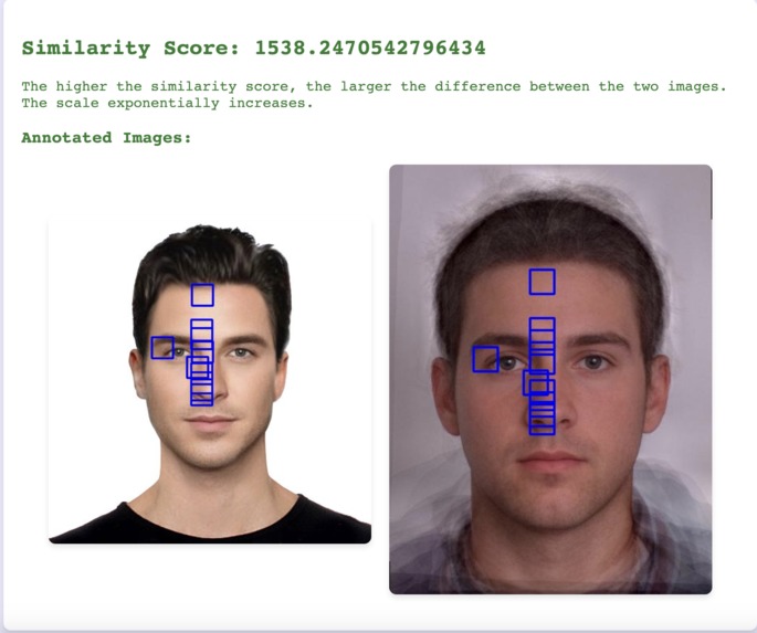 Detectify – screenshot 2
