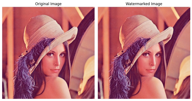 Watermarkitects: Whose Pixel Is It Anyway? – screenshot 4