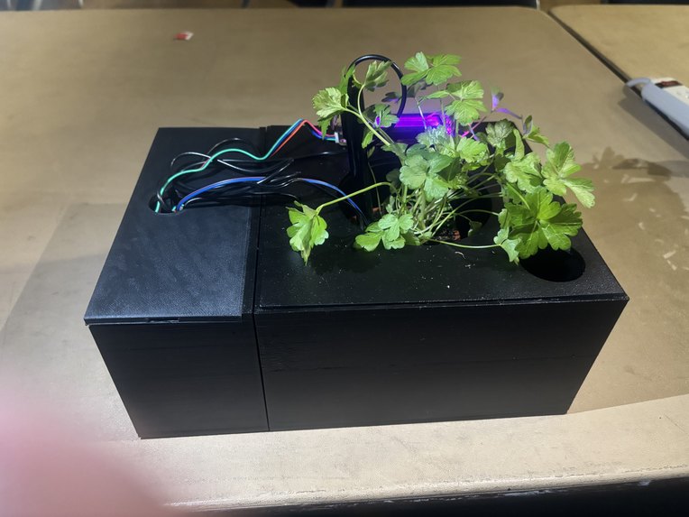 The Botanical Bots – screenshot 1