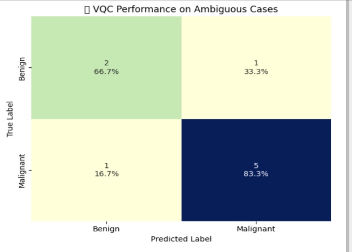 Quantum/Classical Machine learning for Cancer Classification – screenshot 3