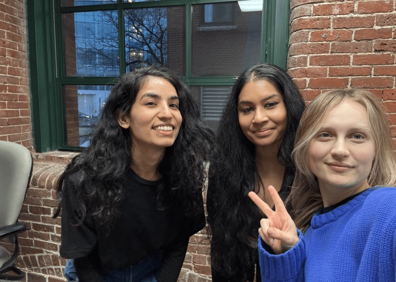 Blausm – screenshot 1