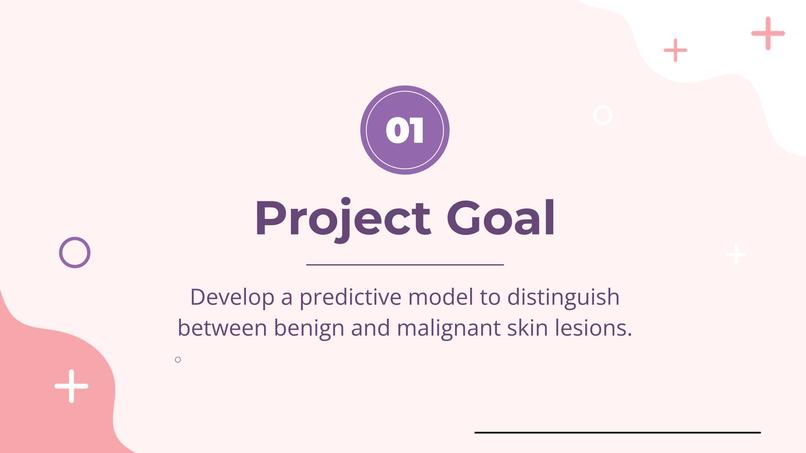 Beneath the Surface: Predicting Skin Lesions with ML – screenshot 2