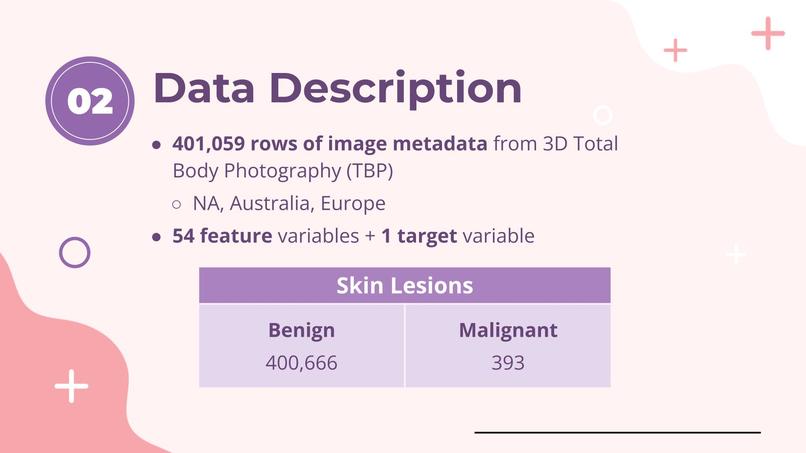 Beneath the Surface: Predicting Skin Lesions with ML – screenshot 3